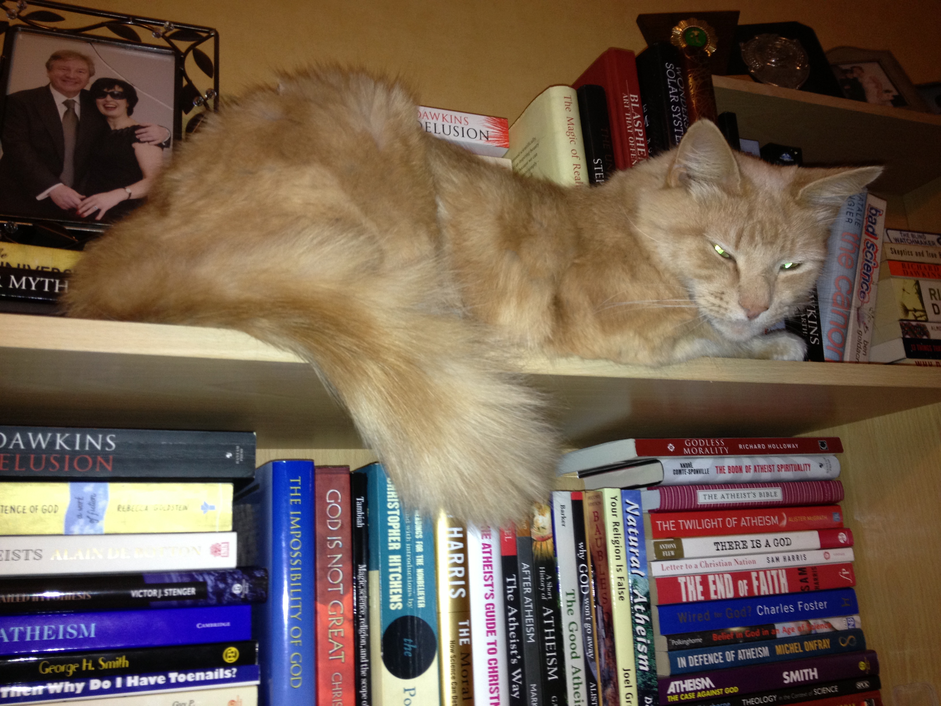 Boris on Bookshelf